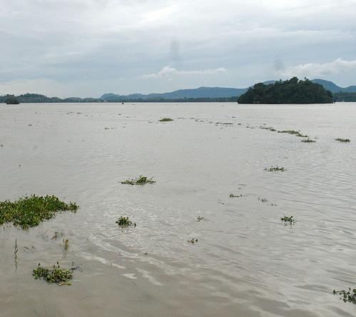 Assam: Over 50,000 people, 9 districts affected due to fresh Assam floods