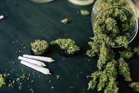 Cannabis Worth Rs 15 Cr Seized in Assam's Jorabat